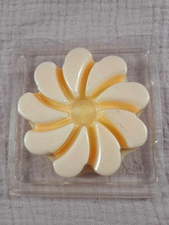 Clamshell différentes formes
