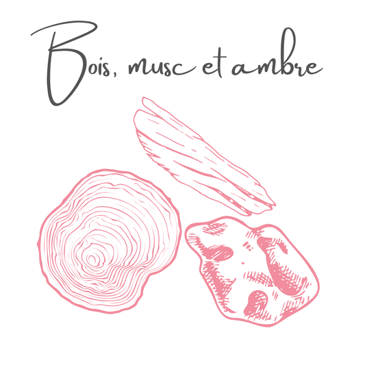 Fondants parfumés boisés, musqués, ambrés