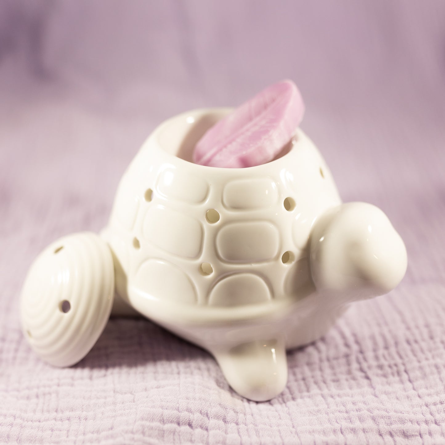 Bruleur tortue blanc