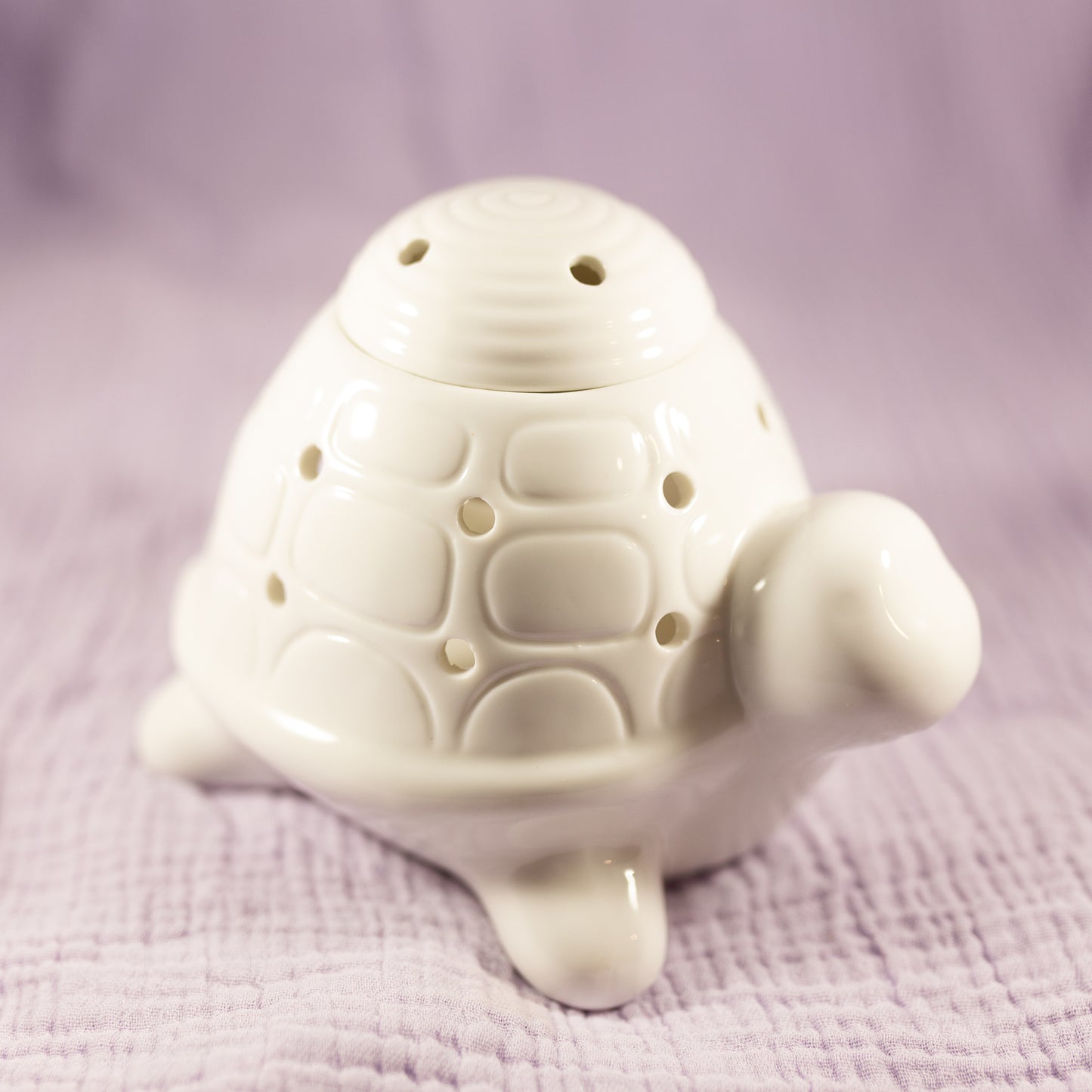 Bruleur tortue blanc