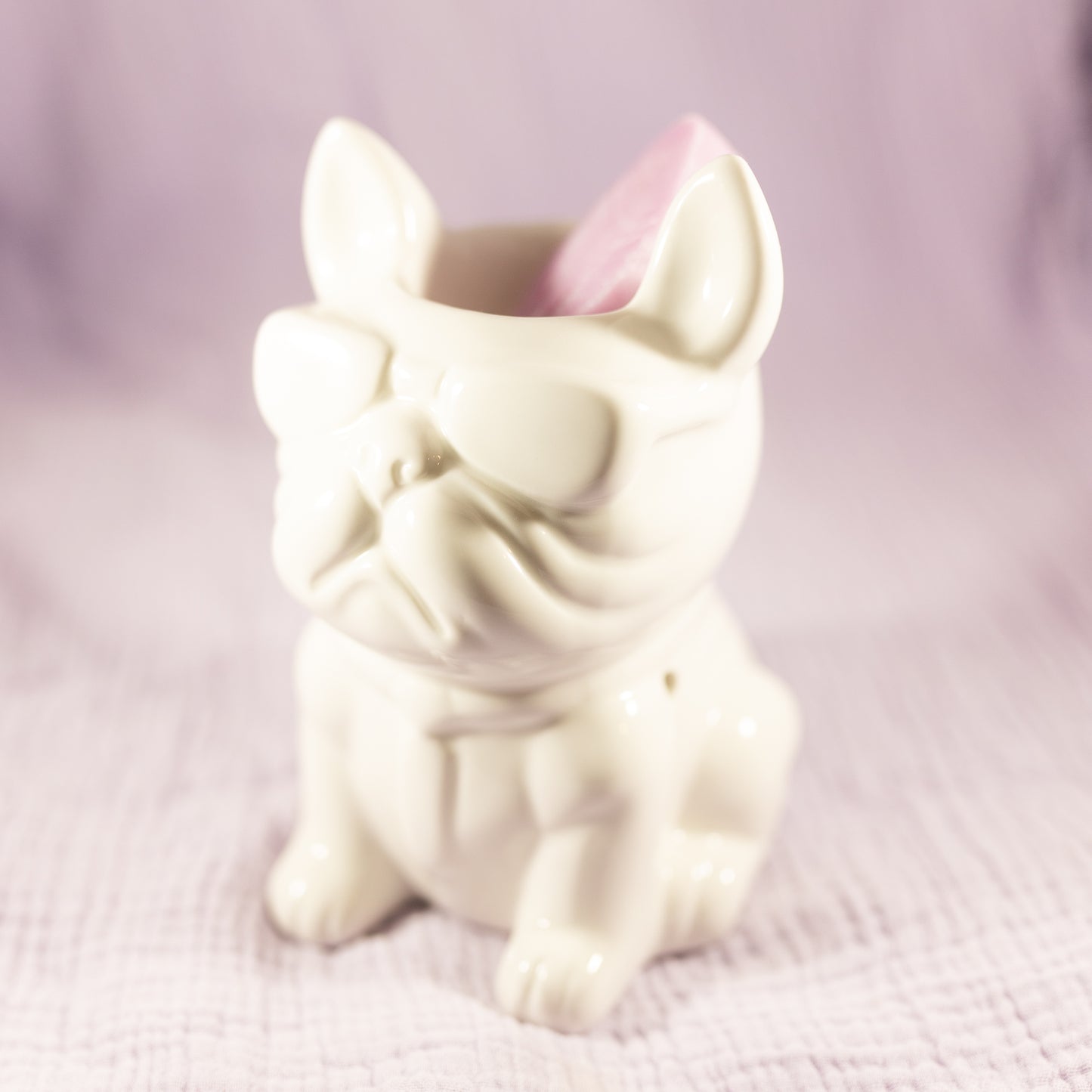Bruleur bouledogue avec lunette de soleil